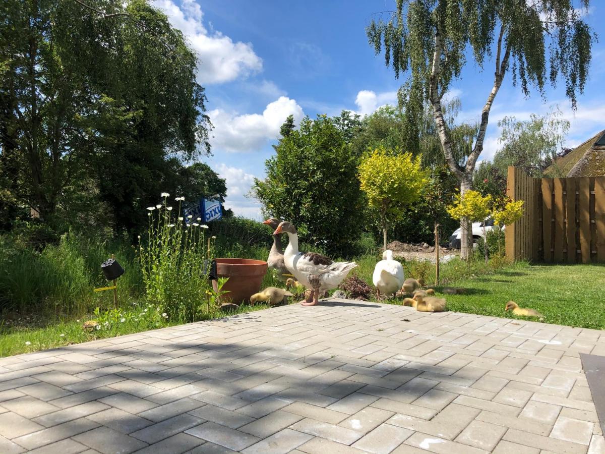 Ferienhaus Malte Buesch Barlt Exteriör bild